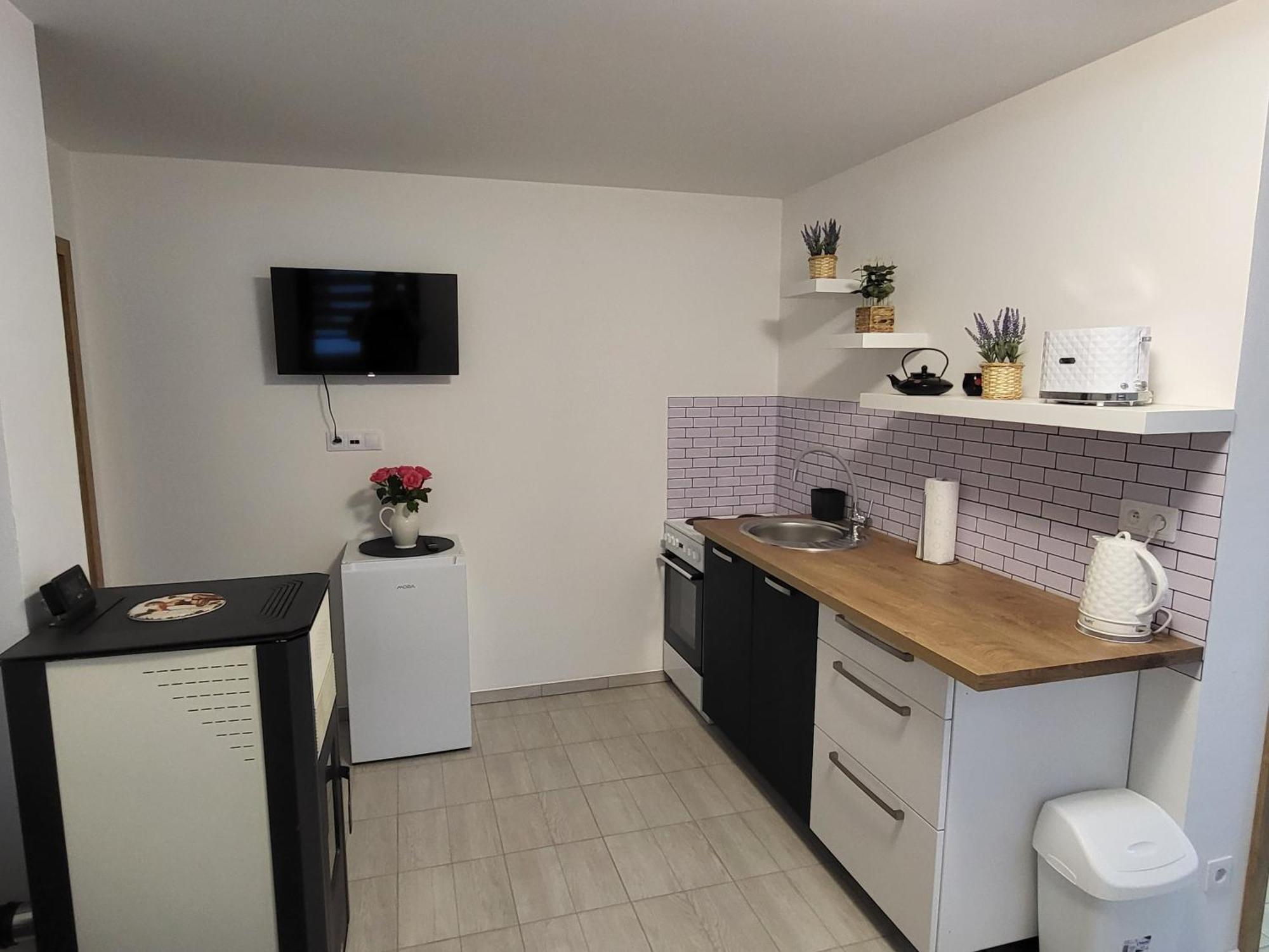Apartman Na Karlicku Karlov  Exterior photo
