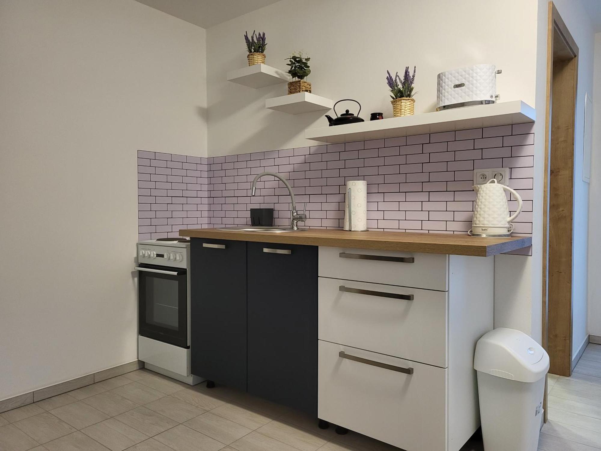 Apartman Na Karlicku Karlov  Exterior photo