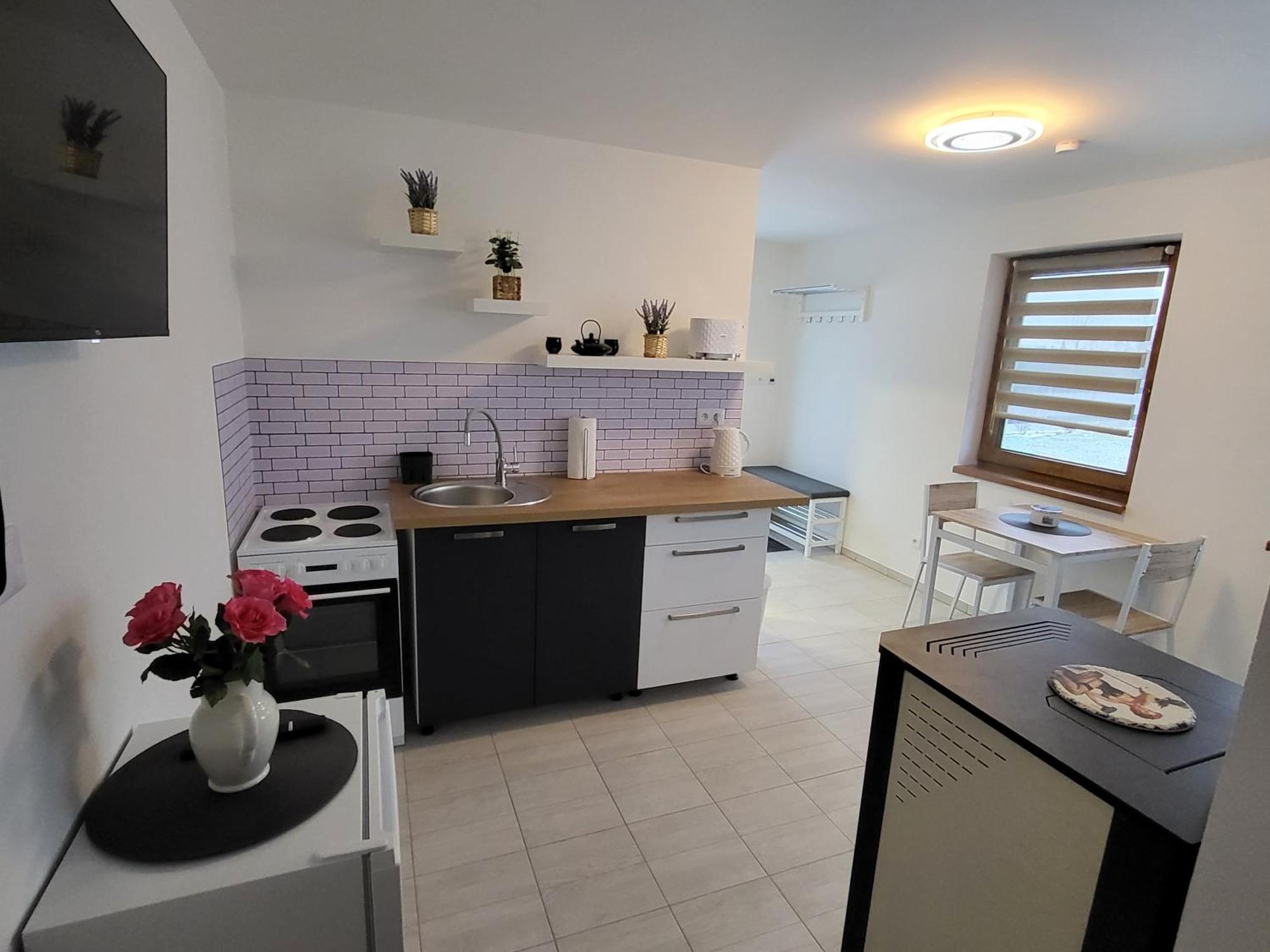 Apartman Na Karlicku Karlov  Exterior photo